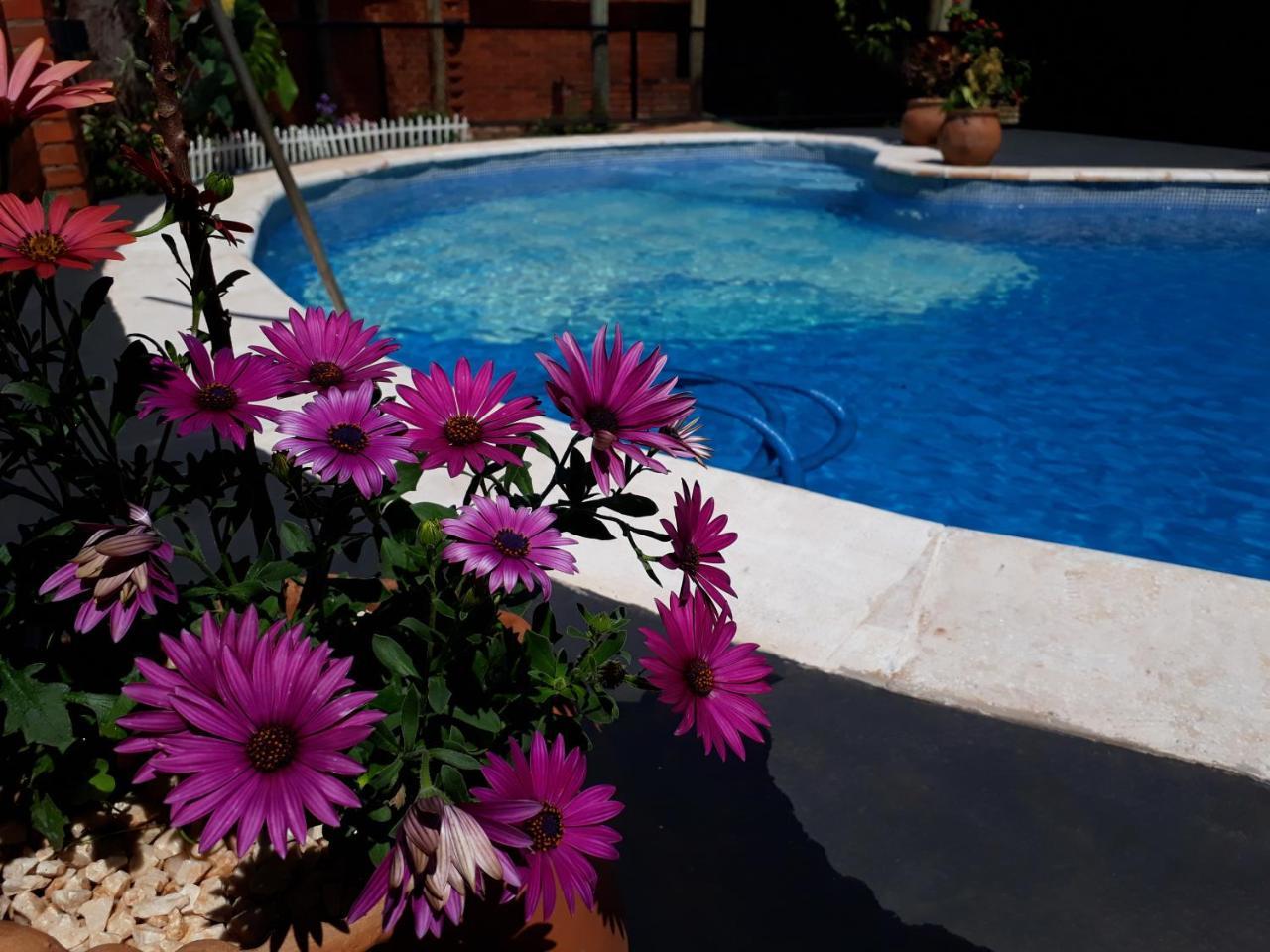 Sentirse En Casa Villa Puerto Iguazú Eksteriør bilde