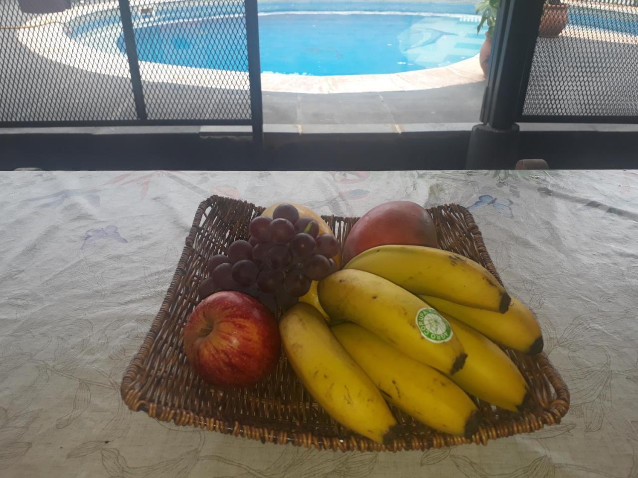 Sentirse En Casa Villa Puerto Iguazú Eksteriør bilde
